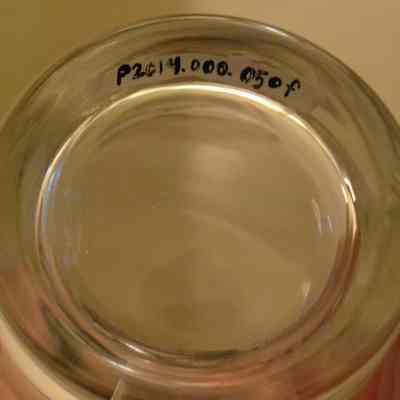 Drinking Glass Bottom
