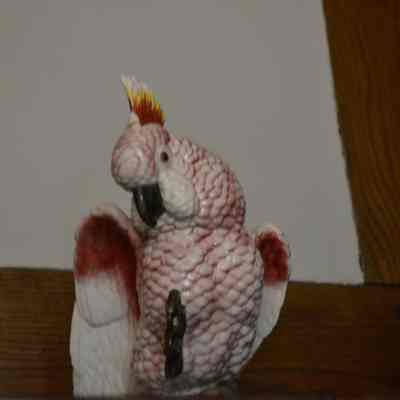 Cockatoo Statuettes