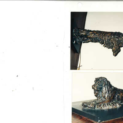 scan of photographs