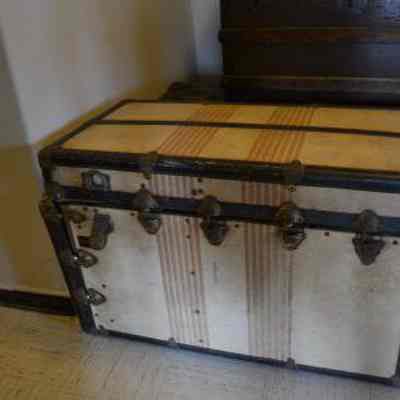 Trunk
