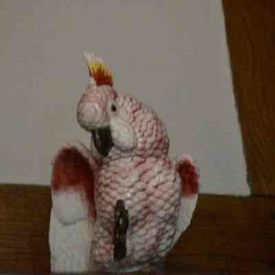Macaw statuette