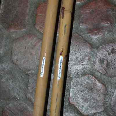 Ski pole
