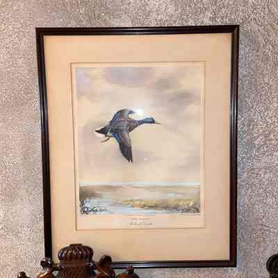 The Scout-Mallard Drake