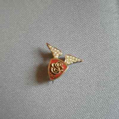 Pin