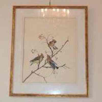 Frame, birds print