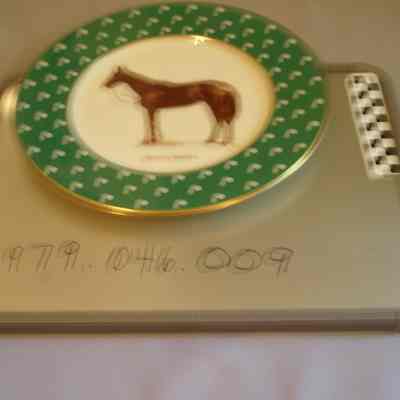 Inscription: "Mrs. W.R. Coe 1/79 pg.7 #100 6 of 12."