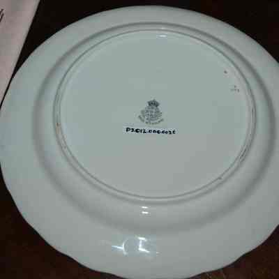 Plate Base