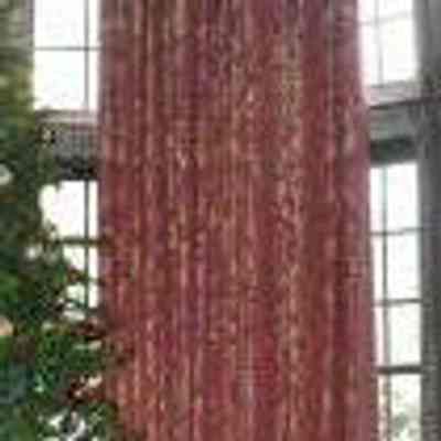 Curtain