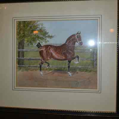 Horse Painting
