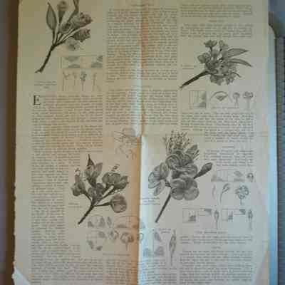 Paper