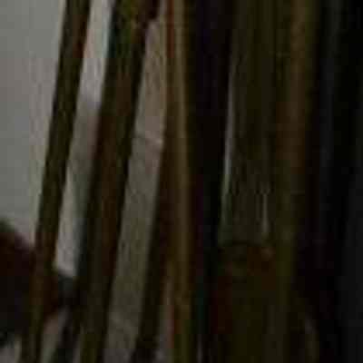Broom