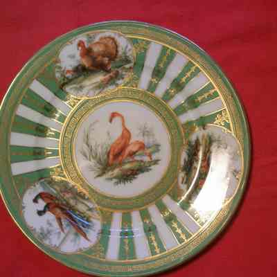 Austrian Partial Game Bird China