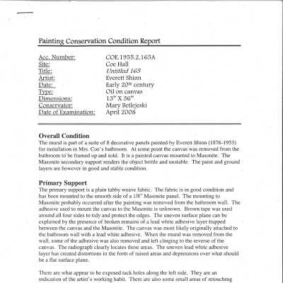 conservation condition report (1)