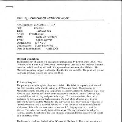 conservation condition report (2)