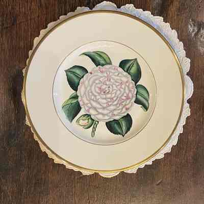 Camellia Dinner Plate