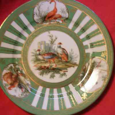 Austrian Partial Game Bird China