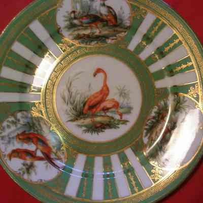 Austrian Partial Game Bird China