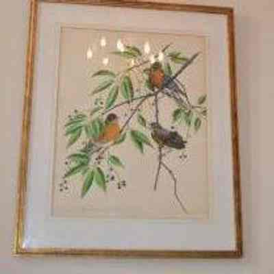 Frame, for bird print