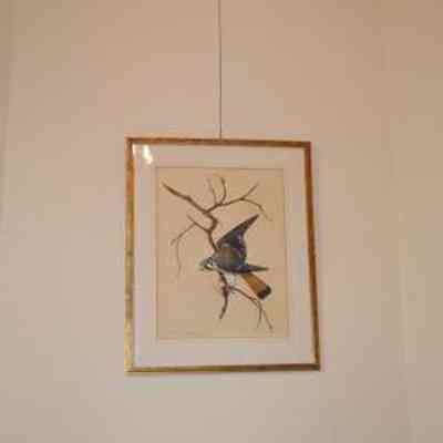 Print, bird