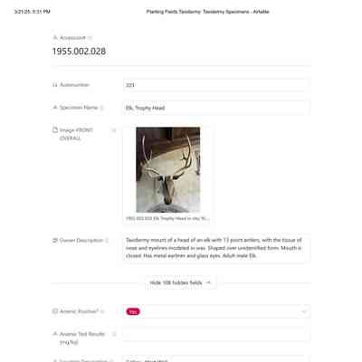 Conservation Treatment Report by AM Art Conservation, July 2024