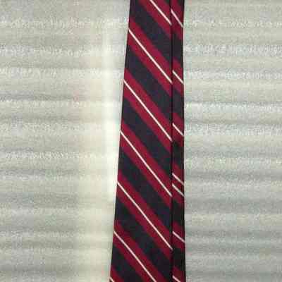 Flight Attendant Tie