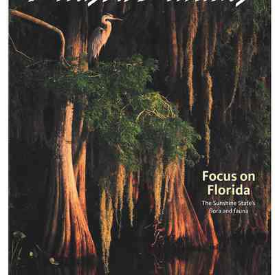 Alaska Beyond Magazine: February 2007