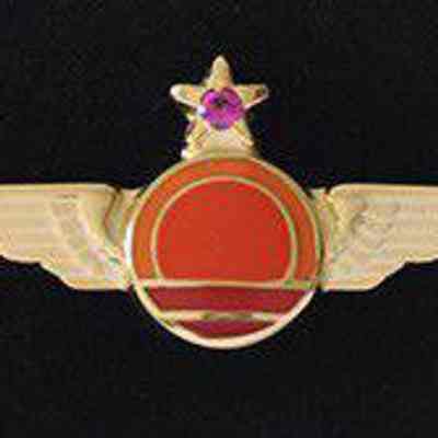Horizon Air 5-year Service Pin - Gold Wings with a ruby set in the star