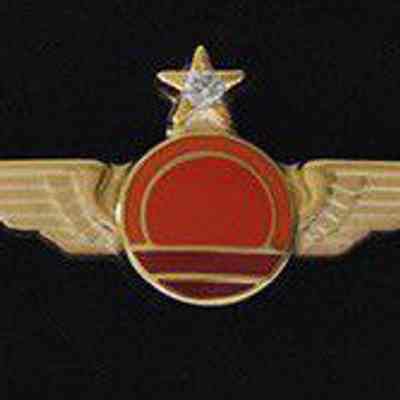 Horizon Air 10-year Service Pin - Gold Wings with a diamond set in the star