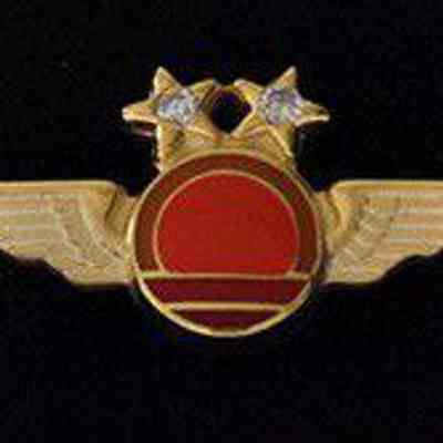 Horizon Air 20-year Service Pin - Gold Wings with two diamonds set in the stars