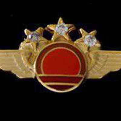 Horizon Air 30-year Service Pin - Gold Wings with three diamonds set in the stars