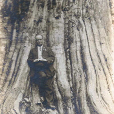 Photograph Unidentified Man and Tree