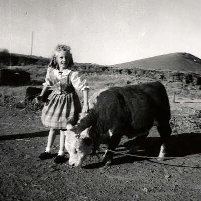 unidentified girl with a hereford calf
