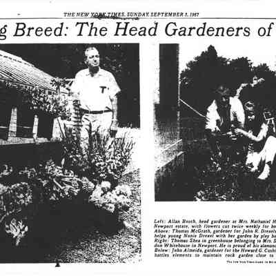 1967 NYT Newport Gardeners