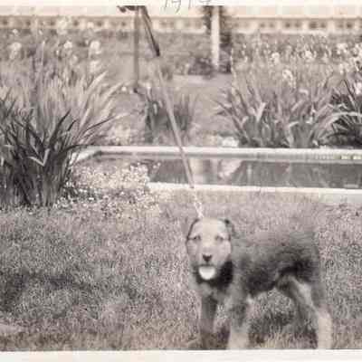 Print, Photographic