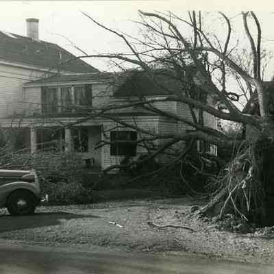 Large house with uprooted tree