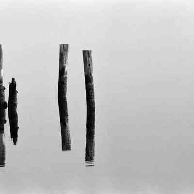 Abstract Pilings