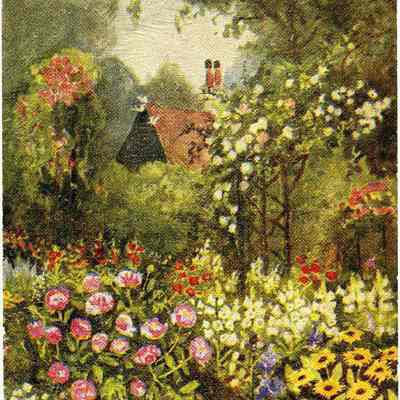 Postcard