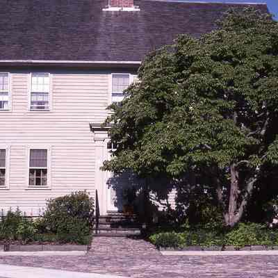 Borough Houses