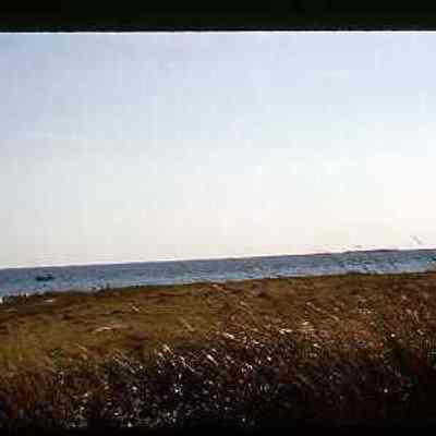 Stonington Harbor