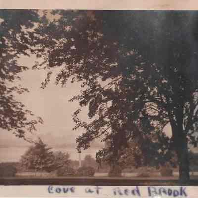 Print, Photographic