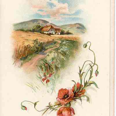 Dorothea Hewitt Gould collection