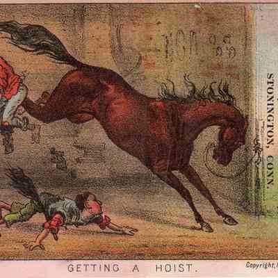 Mrs. M.J. Pendleton Trade Card