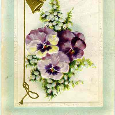Postcard