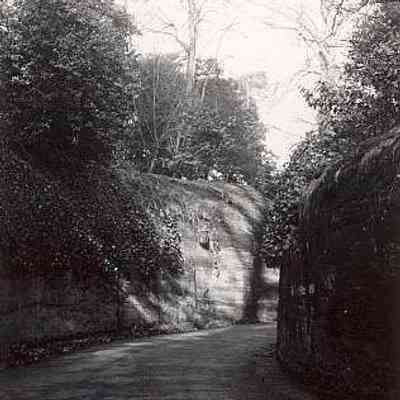 Dorothea Hewitt Gould collection