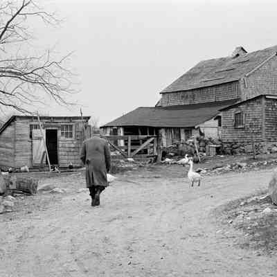 Davis Farm