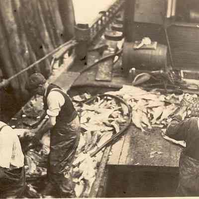 Crew on "Gifford" with mixed catch, Stonington CT
