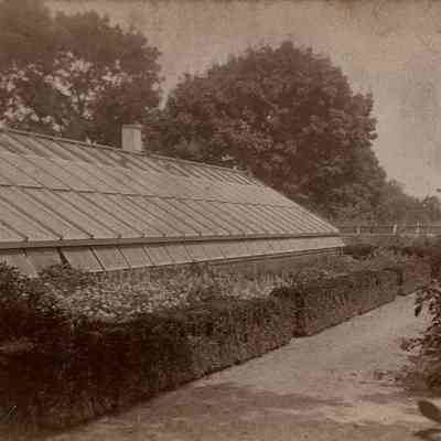Greenhouse II