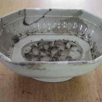 Mold, Pudding