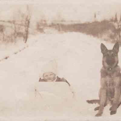 Print, Photographic