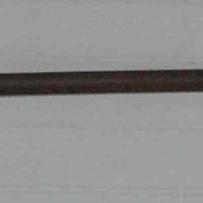 Spear, Eel